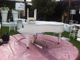 Professional pianos transportation. Piano movers in Israel.