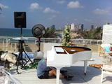 Профессиональная перевозка пианино и роялей Израиле.